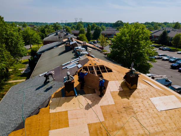 Roof Waterproofing Services in Newton, TX