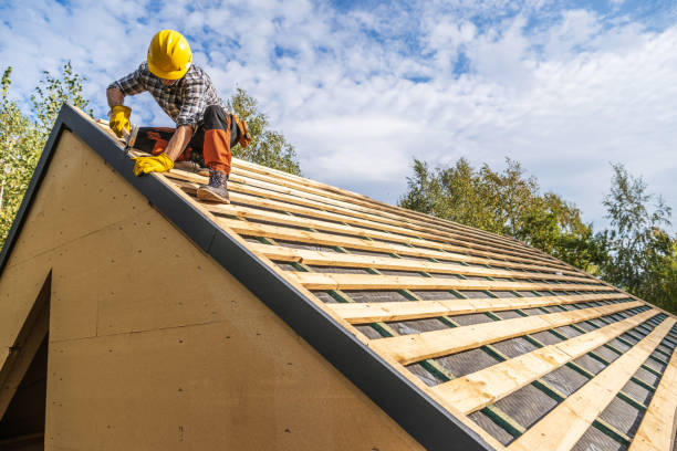 Best Flat Roof Repair Services  in Newton, TX