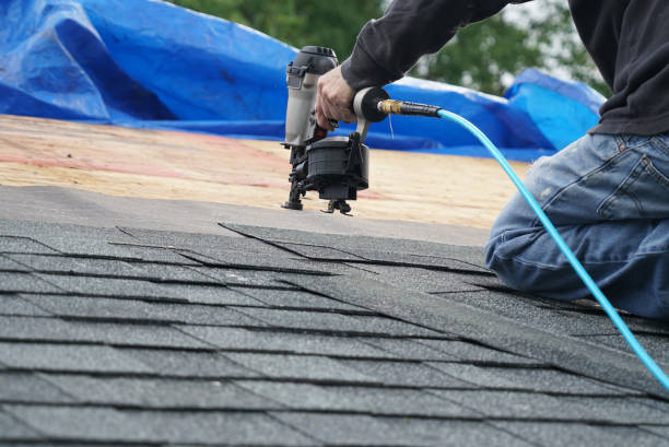 Professional Roofing Contractor in Newton, TX